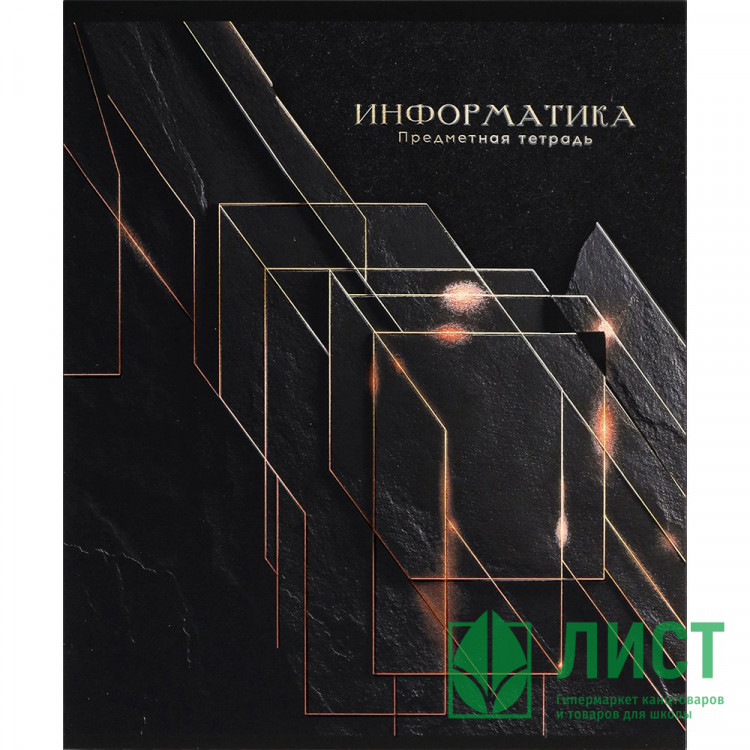 Тетрадь предметная 48 листов Prof-Press Черный и холодный (Black&Cold) Информатика холодная фольга софт-тач выборочный лак арт.48-2708
