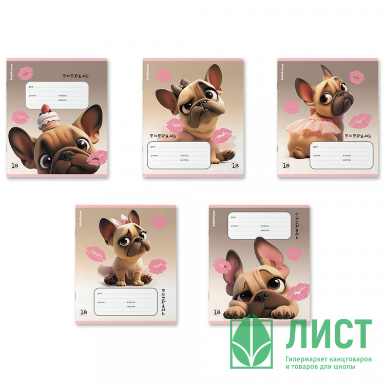 Тетрадь 18 листов клетка ErichKrause Френч выборочный УФ-лак ассорти арт.64834