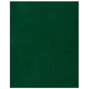 Тетрадь А5 клетка 48 листов бумвинил скоба второй блок  (BG) зеленый  арт.Т5бв48кЭ_12319