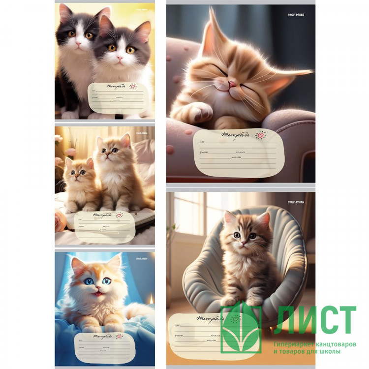 Тетрадь 24 листа линия (Prof-Press) Домашние кошечки цветная мелованная обложка ассорти арт.24-5798