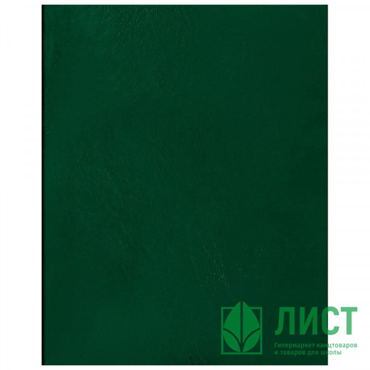 Тетрадь А5 клетка 96 листов бумвинил скоба второй блок (BG) зеленый арт.Т5бв96кЭ_12334