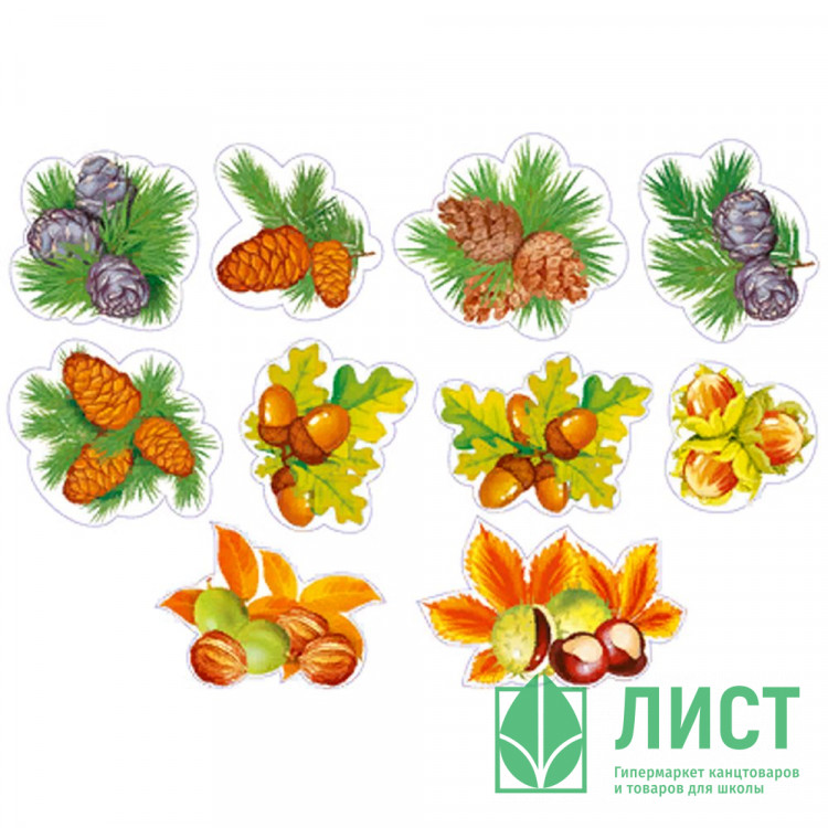 Украшение на скотче "Дары леса" арт.КМ-13871сф