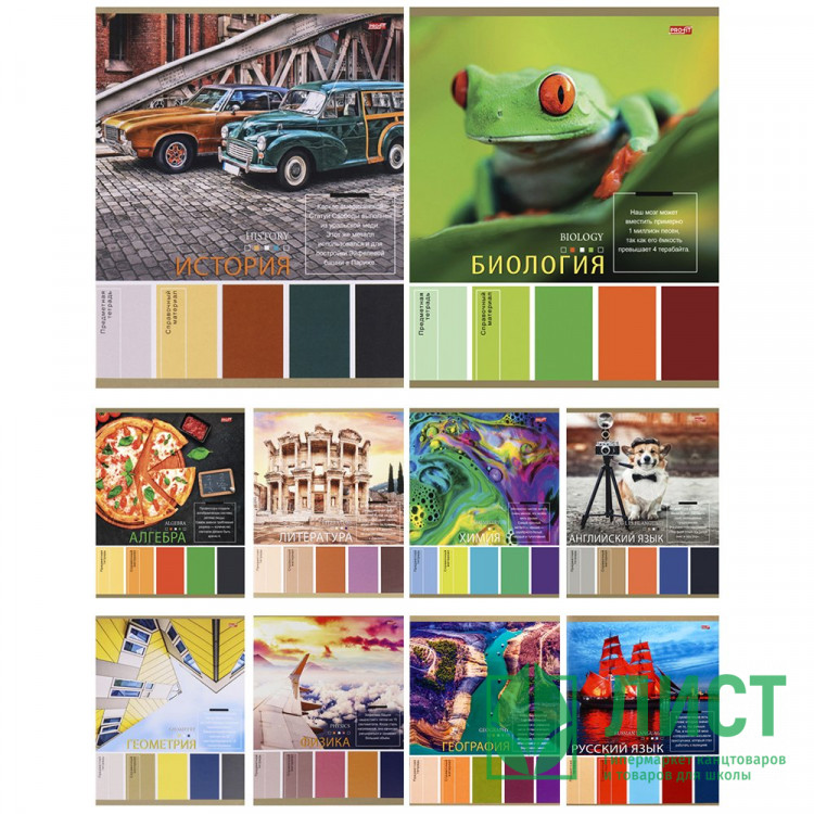 Комплект предметных тетрадей 10 штук 36 листов (Profit) PANTONE арт.36-9324