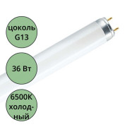 Лампа люминисцентная  36W/54 G13