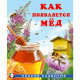 Книжка мягкая обложка А5 Фламинго Раннее развитие Как появляется мёд И. Гурина арт.34436