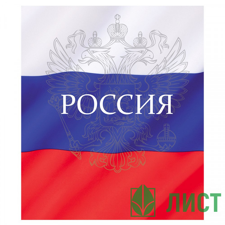 Тетрадь А5 клетка 48 листов скоба Маяк Россия арт.Т-5048 К2